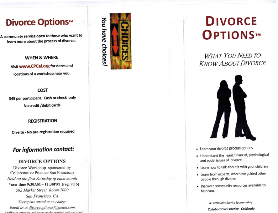 Divorce Options brochure Page 1